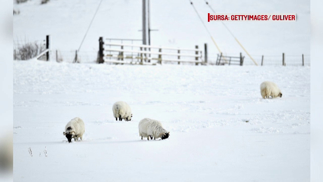 Vremea rea se muta in vestul Europei. Marea Britanie va infrunta ninsori abundente si rafale de vant de forta unui uragan
