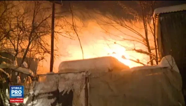 11 animale, printre care si 2 tigri, au murit in urma unui incendiu la o cladire a Circului Globus. Reactia managerului