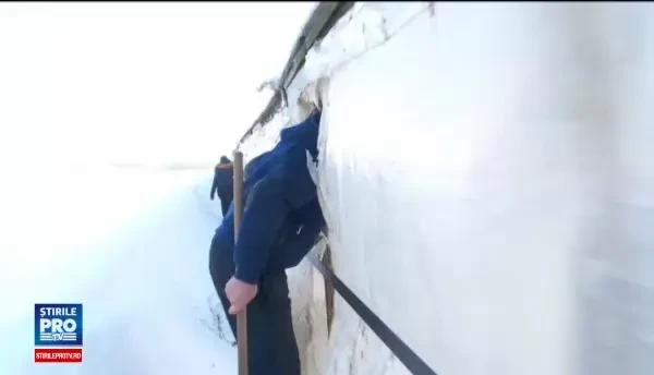 Serele din Romania au fost afectate de ger, iar pierderile financiare sunt enorme. Cum isi pot acoperi paguba fermierii