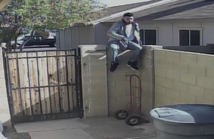 Hoti filmati in actiune, in curtea unei familii din SUA. Cum au reusit sa treaca de caine si sa intre in casa. VIDEO