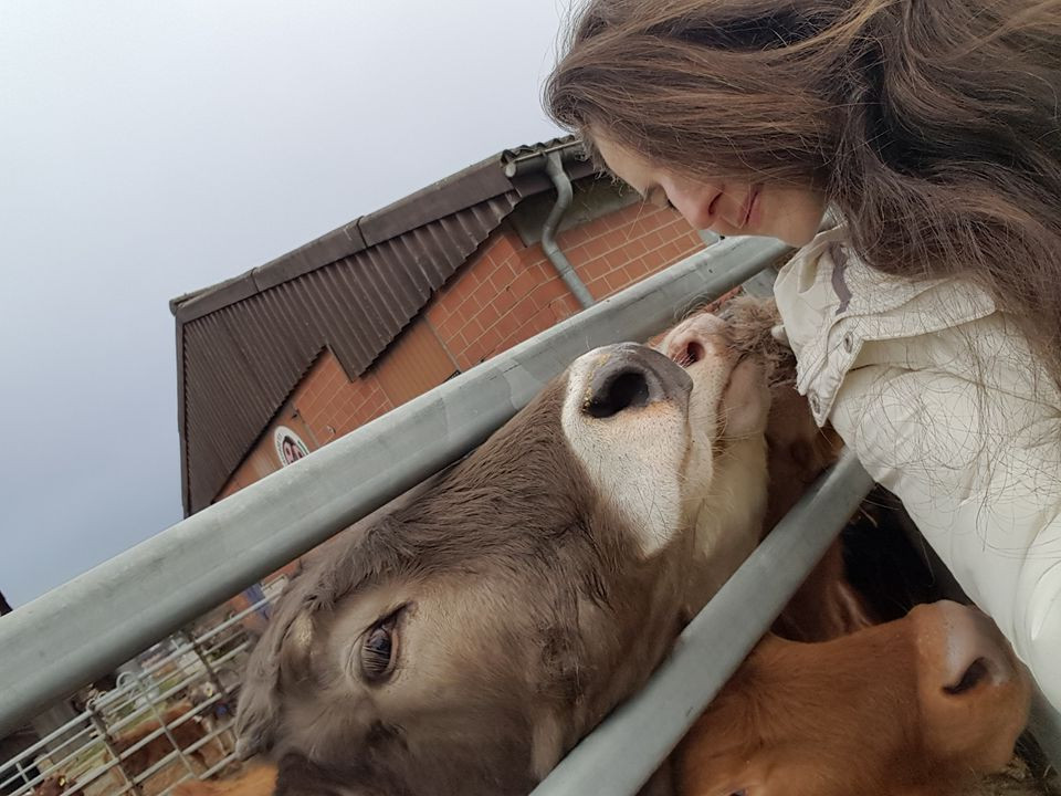 O vegana ce traieste de 30 de ani in Elvetia nu poate primi cetatenie. "Nu e de acord cu talangile, cursele de porci, circul"