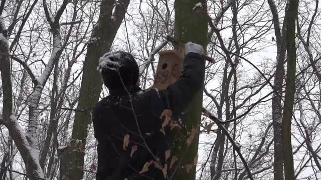 Gest de compasiune facut de un padurar pentru pasarile salbatice. Strabate zilnic kilometri intregi pentru a le asigura hrana