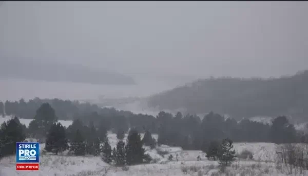 Gest de compasiune facut de un padurar pentru pasarile salbatice. Strabate zilnic kilometri intregi pentru a le asigura hrana