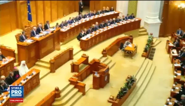 Averile noilor parlamentari ai Romaniei. Deputata care nu are pe numele ei case, terenuri sau conturi