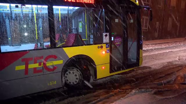 Capitala şi zece judeţe, sub Cod galben de polei