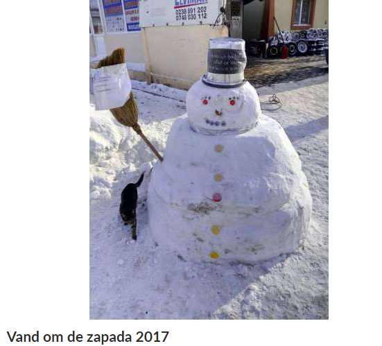 Un buzoian a postat un anunt inedit. Cum vrea sa se imbogateasca din vanzarea oamenilor de zapada. FOTO