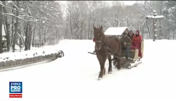 Muzeul Astra din Sibiu i-a impresionat pe turistii straini. Reactia unui cuplu venit in Romania din Australia