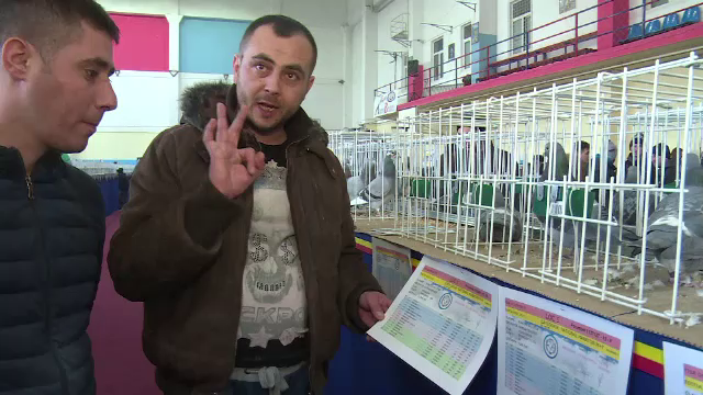 Expozitie de porumbei campioni, la Targoviste. "Familia si porumbeii sunt cele mai importante"