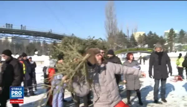 In loc sa doneze brazii sau sa ii transforme in ingrasamant, le-au dat foc in parc. Concurs bizar organizat in Bucuresti