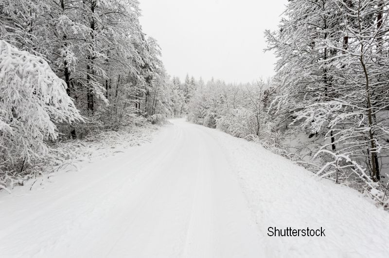 Cod galben de ninsori și viscol în 14 județe