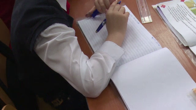 Bani de la Guvern pentru elevii care vor sa-si cumpere un calculator. Suma pe care o pot primi scolarii