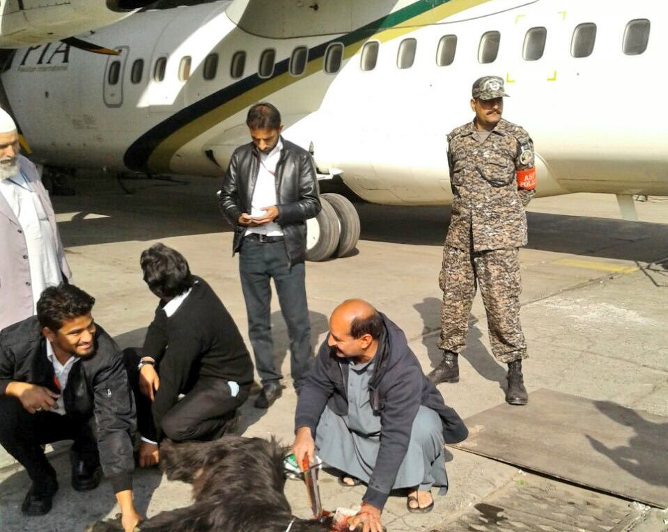 Metoda prin care echipajul unui avion pakistanez s-a asigurat ca zborul va decurge fara probleme. "Nu erau autorizati"