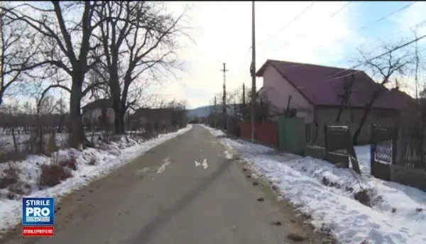Disputa pe gaini ucise de caini si oi mancate de lupi, in Prahova. A fost o haita care a facut prapad