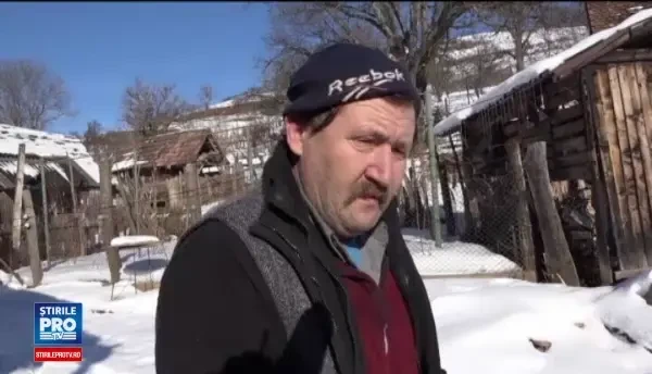 Un sat din Mures traieste de 3 saptamani sub teroarea fiarelor. Te intalnesti cu ursul noaptea pe drum, parca ar fi pieton