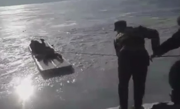 Caprioara captiva pe Dunarea inghetata, salvata de pompierii militari din Mehedinti. Operatiunea a durat 3 ore