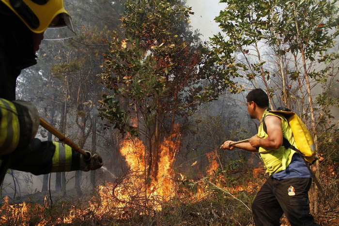Stare de urgenta nationala in Chile din cauza unor grave incendii de vegetatii. Liderii au cerut ajutorul mai multor tari
