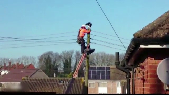 Au oprit electricitatea pe o strada intreaga ca sa salveze o pisica. Cum a ajuns felina pe un stalp de inalta tensiune