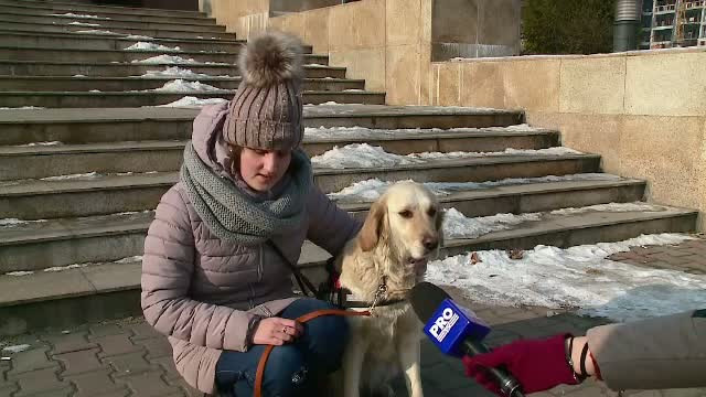 Mii de orbi in Romania si doar 10 caini insotitori. Cat de important e sa-l aiba alaturi pe "cel mai buni prieten al omului"