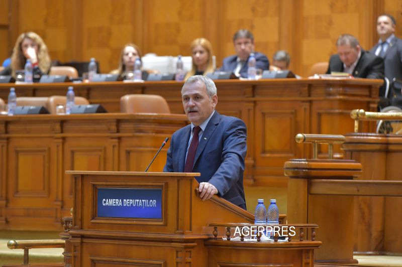 Liviu Dragnea vrea sa organizeze doua referendumuri. "Mi se par teme foarte importante"