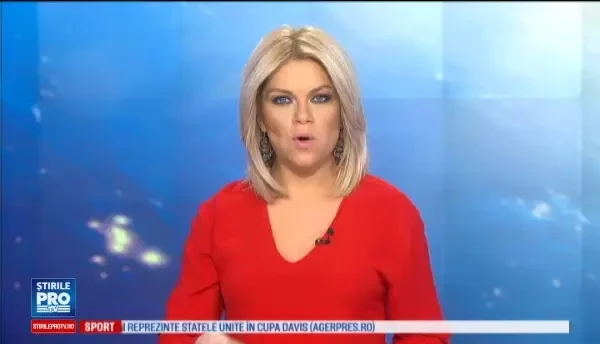 Au oprit electricitatea pe o strada intreaga ca sa salveze o pisica. Cum a ajuns felina pe un stalp de inalta tensiune