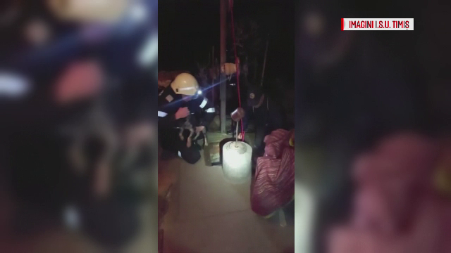 Operatiune riscanta a pompierilor din Timis, care au salvat un caine cazut in fantana