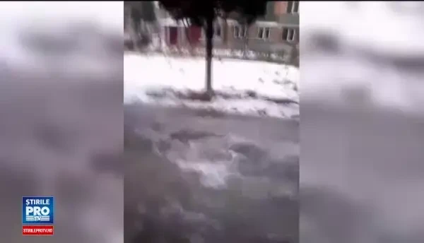 10 vaci umbla de luni de zile libere pe strazile Hunedoarei. Proprietarul lor incaseaza subventii si ignora amenzile