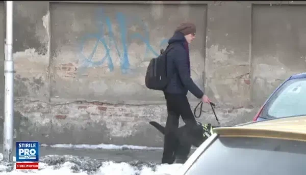 Mii de orbi in Romania si doar 10 caini insotitori. Cat de important e sa-l aiba alaturi pe cel mai buni prieten al omului