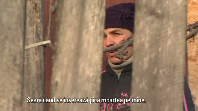 Din dorinta de-a isi face singur dreptate, un tanar din Prahova s-a ales cu un al doilea dosar penal. Ce acuzatii i se aduc