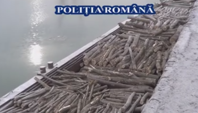 Nava incarcata cu lemne fara documente de provenienta, confiscata de politisti. Incarcatura valora 120.000 de lei