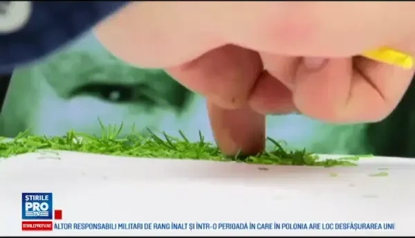 Un artist ucrainean creeaza portretele celebritatilor folosind legume, fructe sau paine. Din ce il va face pe Trump