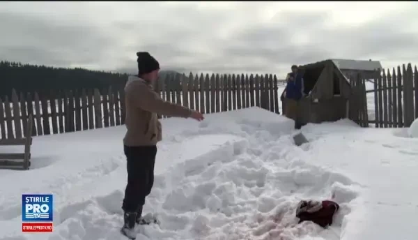 Un tanar de 17 ani se zbate intre viata si moarte, dupa ce a fost lovit de un cal. Martor: Prima data am crezut ca glumeste