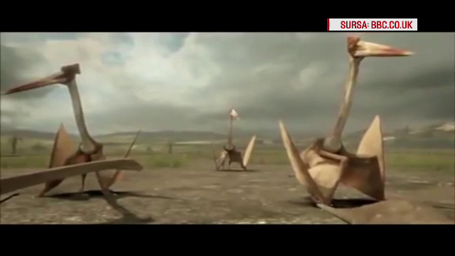 Fosilele unui dinozaur care a trait in zona Hateg acum 70 de milioane de ani au fost descoperite. Cum arata "bestia"