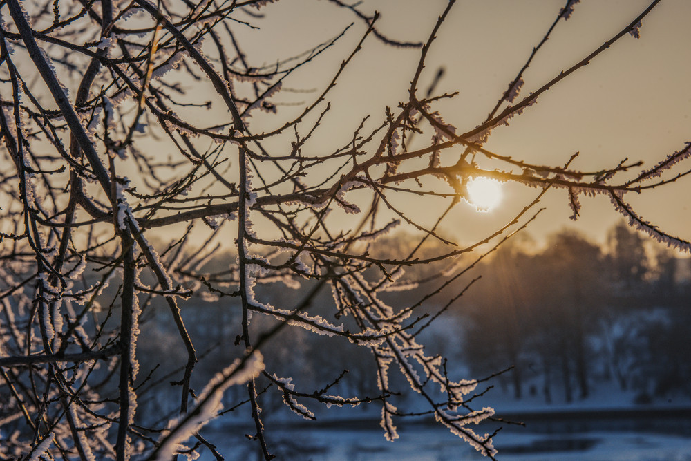 Vreme frumoasa cu temperaturi mai mari decat ar fi normal la aceasta data. Ziua in care revin ploile