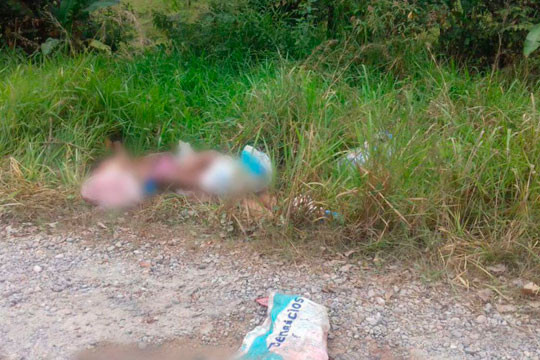 Trei politisti rapiti in Mexic vineri au fost gasiti decapitati, pe un camp. Cine ar fi comis oribila crima