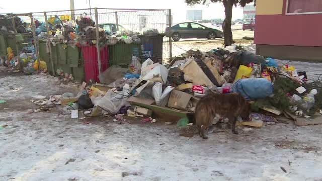 Un oras din Romania, sufocat de gunoaie din cauza scandalului dintre primarie si firma de salubritate