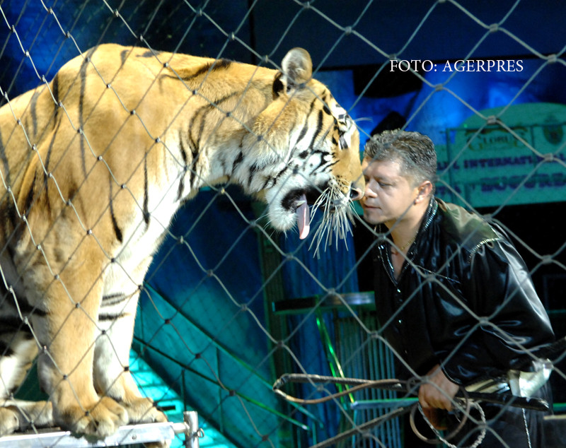 Primaria Capitalei vrea sa interzica folosirea animalelor "apartinand subincregaturii vertebrate" in spectacole si expozitii