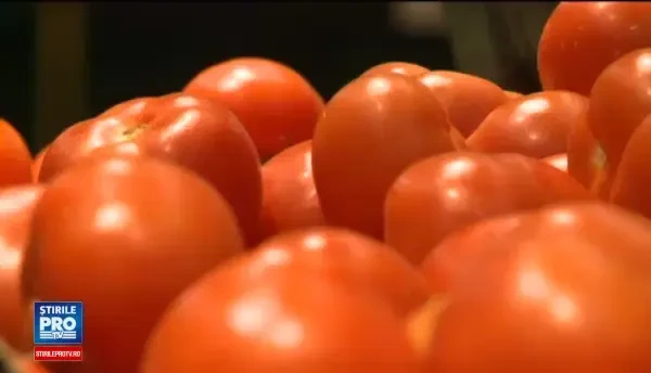 De ce nu mai au rosiile gust? Cercetatorii lucreaza pentru aroma de pe vremuri. Nemultumirile legumicultorilor