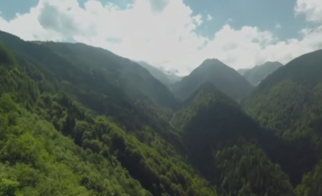 France 2: Mobila Ikea, facuta cu lemn taiat ilegal din padurile virgine ale Romaniei. Cum este posibil