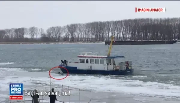 Femeia salvata din Dunare ar fi incercat sa isi ia viata, dupa ce s-a certat cu sotul ei. In ce stare se afla acum