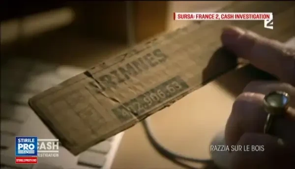 France 2: Mobila Ikea, facuta cu lemn taiat ilegal din padurile virgine ale Romaniei. Cum este posibil