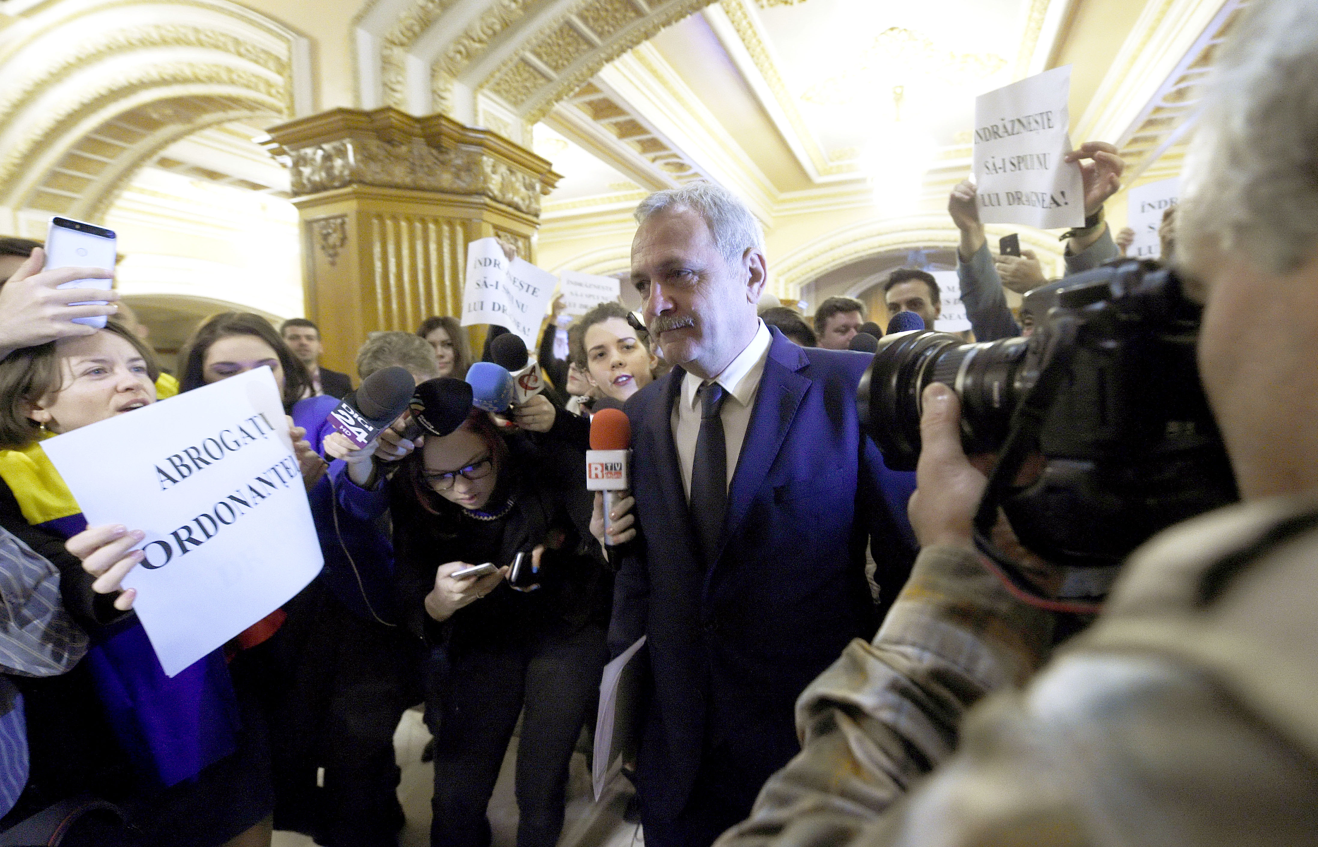 Liviu Dragnea- Agerpres