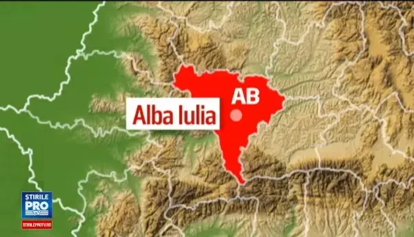 Tineri din Alba Iulia cercetati pentru lupte ilegale cu caini agresivi. Pentru antrenament furau patrupedele vecinilor