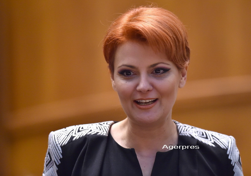 Lia Olguta Vasilescu: Cred ca trebuie sa iesim si noi in strada. Cei de la USR protesteaza in sala de plen ca orice homeless