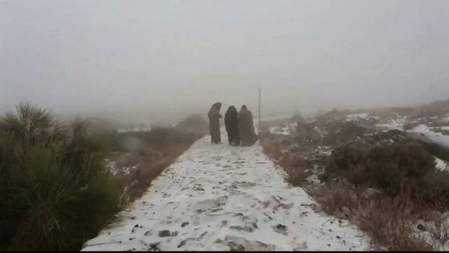 A nins in Emiratele Arabe Unite. Cum au marcat locuitorii "evenimentul istoric"