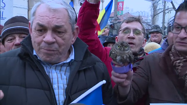 Garda de Mediu, sesizata in cazul barbatului care a adus la protestul de la Cotroceni o cucuvea vie. Ce risca acesta
