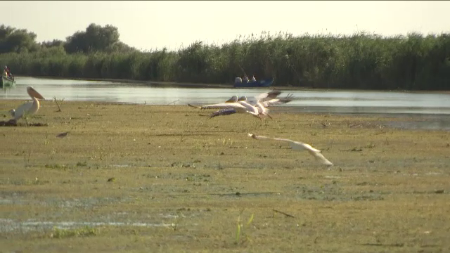Pierderi imense pentru turismul romanesc din cauza conflictului din Ucraina. Vasele de pasageri au inceput sa ne ocoleasca