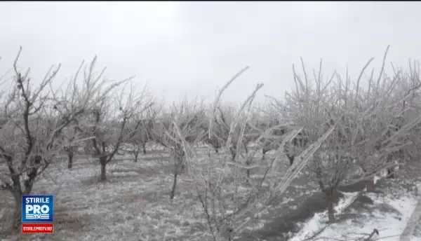 Iarna s-a intors in forta in tara. Pe sosele s-a circulat cu dificultate, 5 oameni au ajuns la spital in urma accidentelor