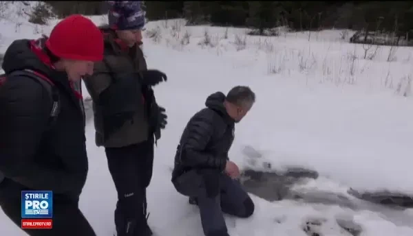 In padurile si muntii din Romania traiesc animale salbatice pe cale de disparitie in Europa. Cat costa vanatoarea de urme