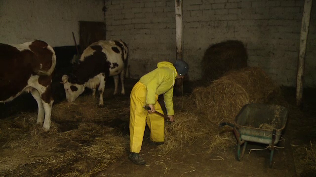 O fundatie le-a sarit in ajutor oamenilor strazii din Timisoara. Primesc masa, cazare si salariu ca sa lucreze la o ferma