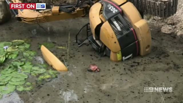 A supravietuit cinci ore intr-o mlastina, scufundat aproape complet, doar cu nasul la suprafata